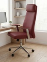 FAUTEUIL ERGONOMIQUE