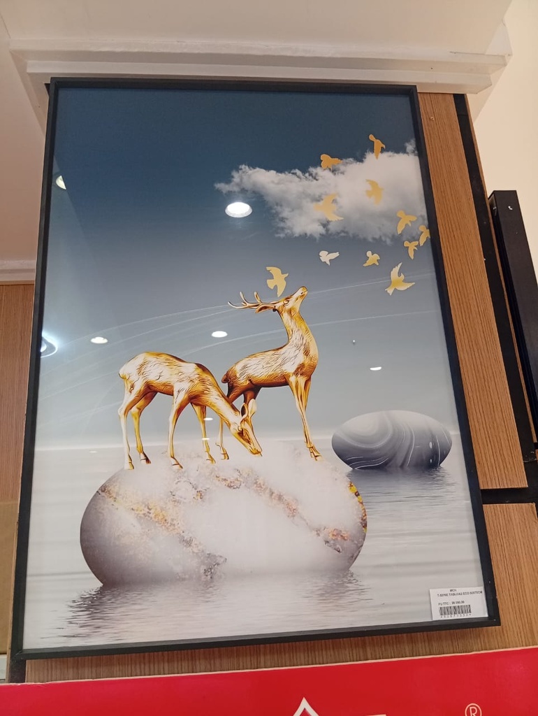 TABLEAU ECO 50X70CM T-5070E.