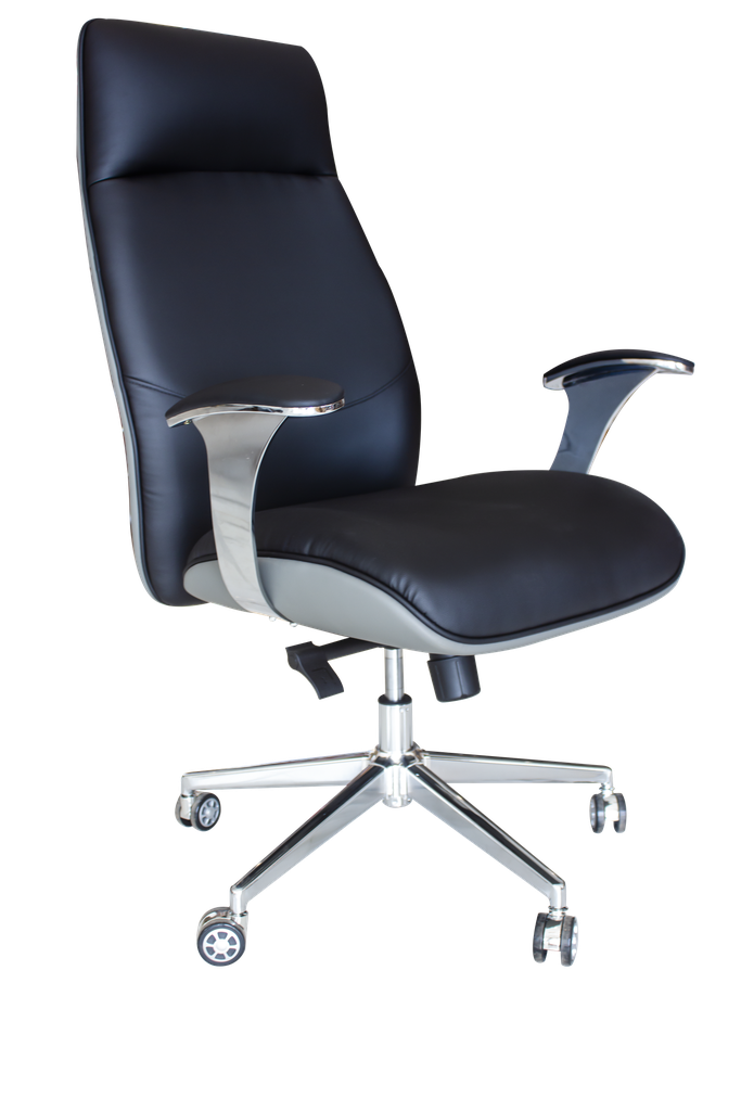 FAUTEUIL  ERGONOMIQUE FE-A346