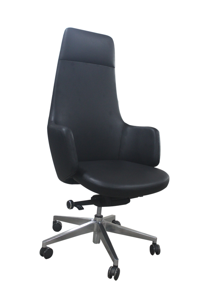 FAUTEUIL PRESIDENT FP-1001A